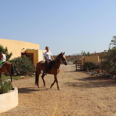Desert Escapes タベルナス エクステリア 写真